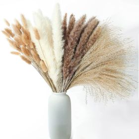 60/62/76/80/85/100pcs Boho Pampas Grass Bouquet Home Decor Floral Dried Flowers Wedding Arrangements Natural Reed Bunny Tails (Color: 100pcs, Ships From: China)